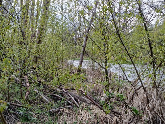 20250408_074519.jpg
