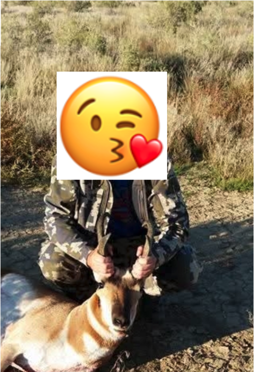 1744209727511.png