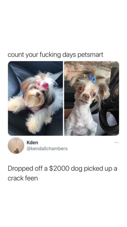 1744214360134.png