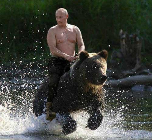 putingridingbear.jpg putingridingbear.jpg