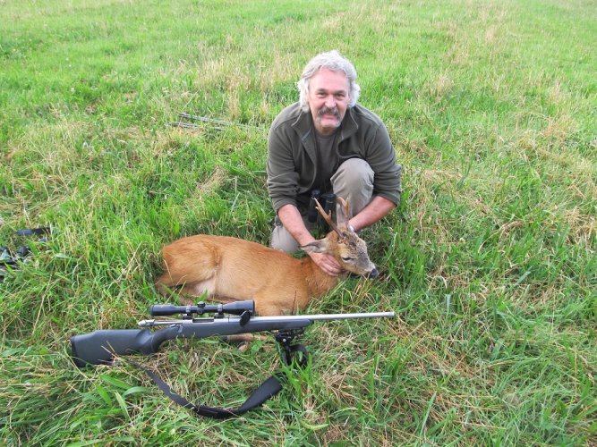 Roe buck.jpg Roe buck.jpg