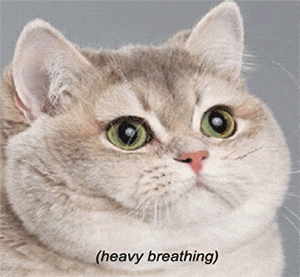 1744316960709.gif