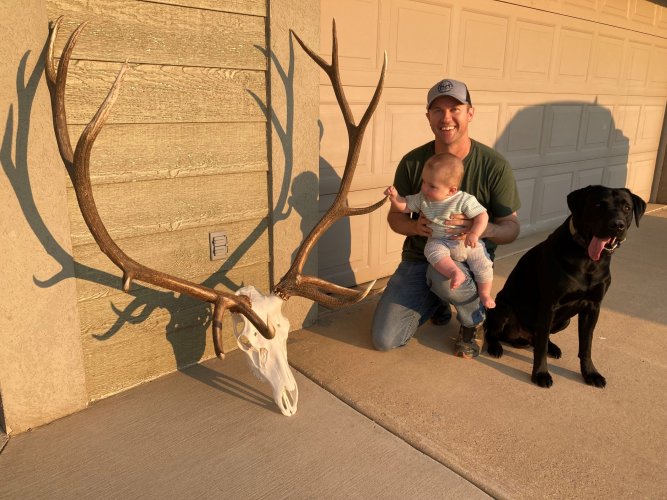 2024 Elk.jpg