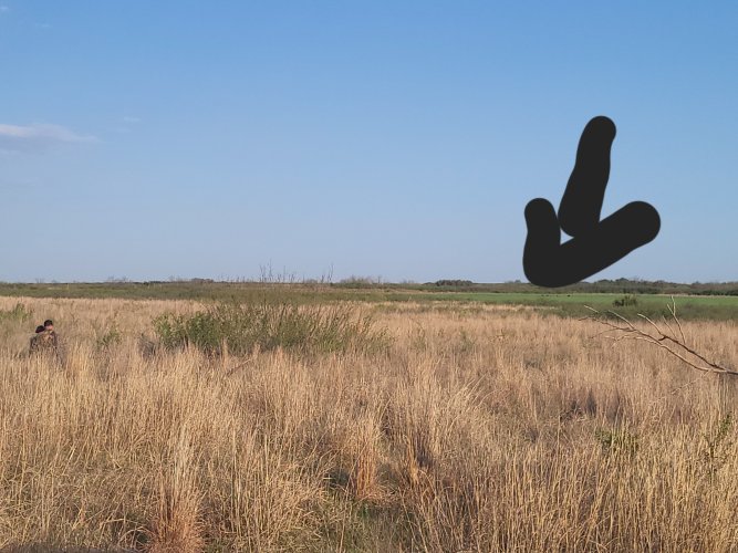 20250410_184201.jpg 20250410_184201.jpg