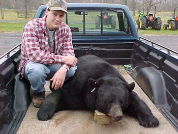 99bear.JPG