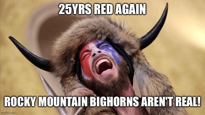 1744385802995.jpeg