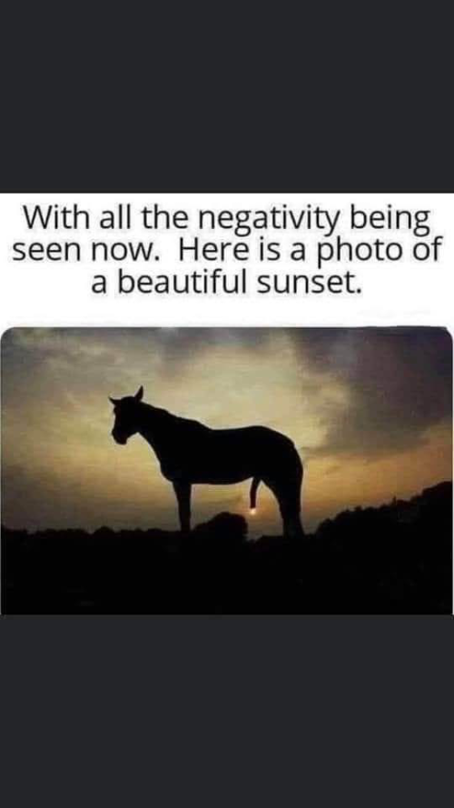 1744400229601.png