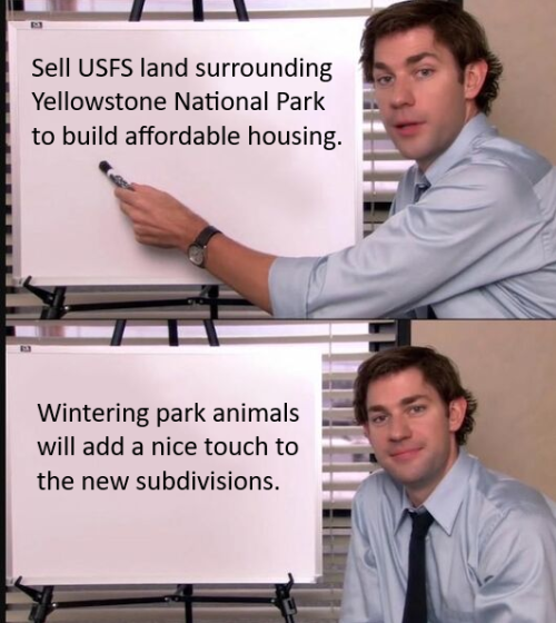 Untitled.png