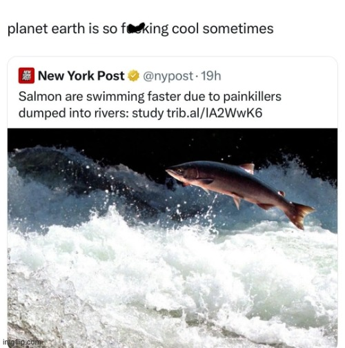 1744502445075.png