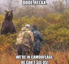 bear.jpg