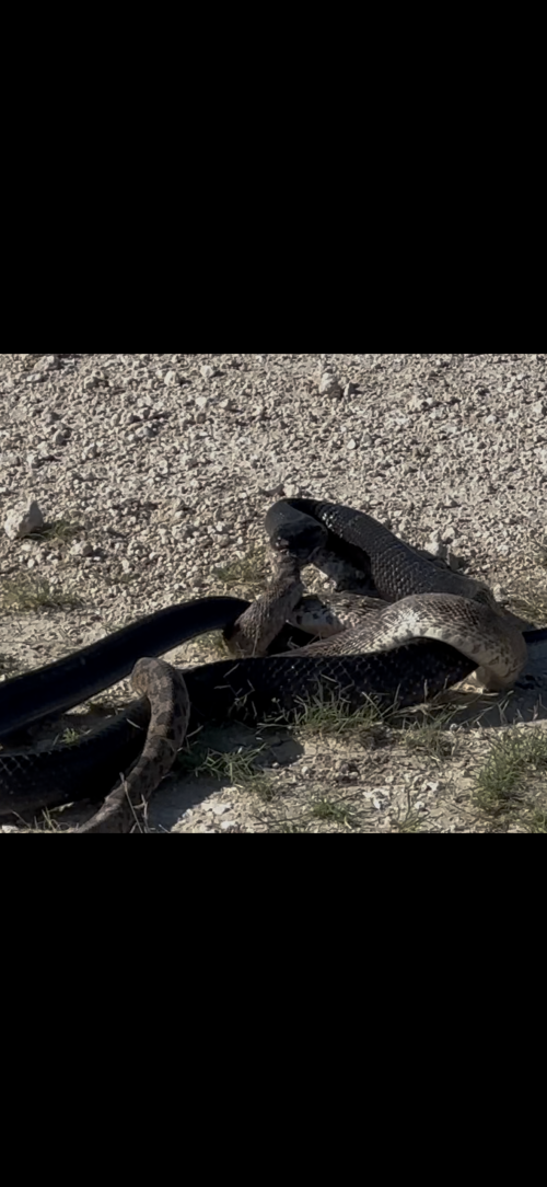IMG_2027.png IMG_2027.png