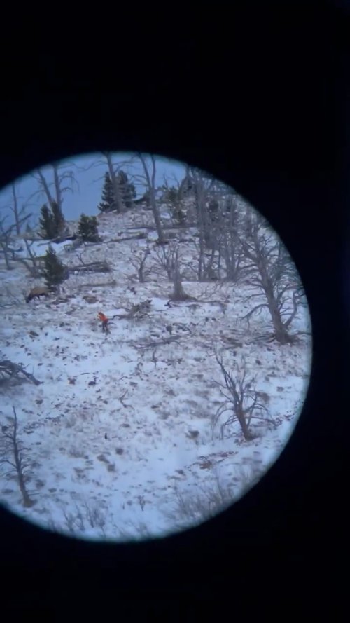 VideoCapture_20241128-195308.jpg