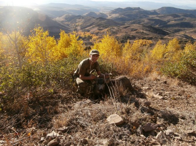 muledeer.jpg