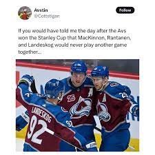 avs.jpg