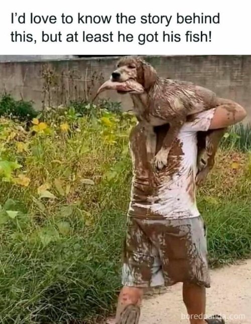 1745022616348.jpeg