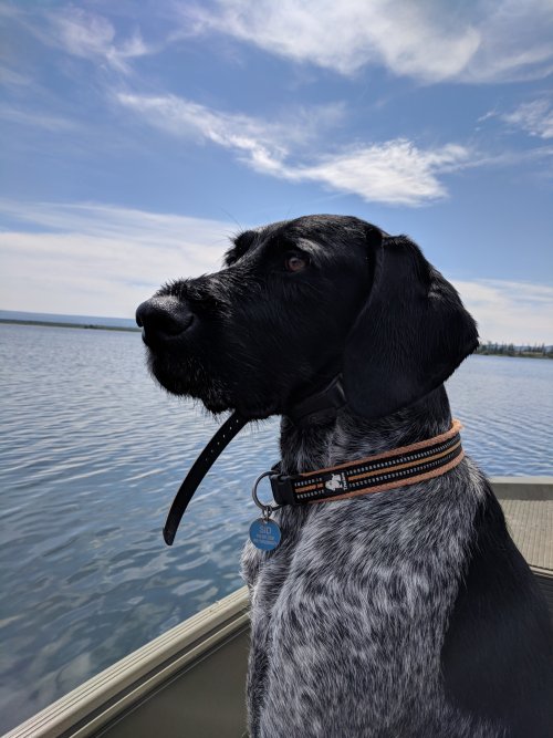 Resized_IMG_20180722_123411_969579437584117.jpeg