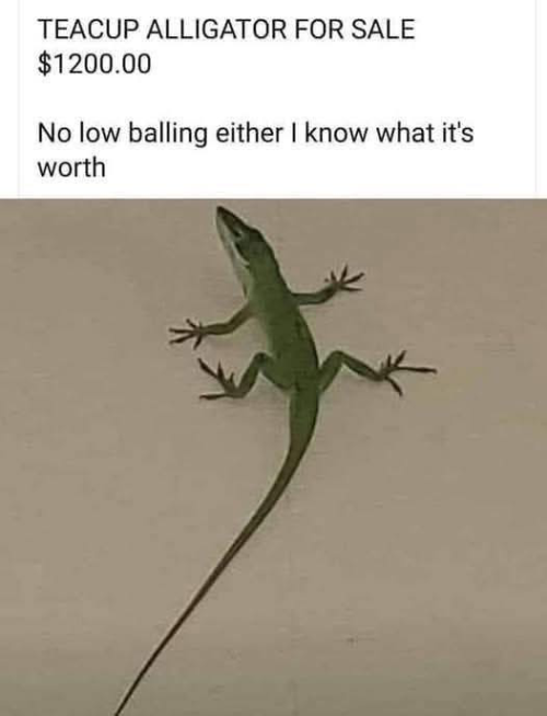 1745155088822.png