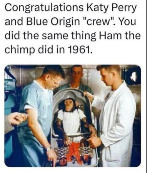 1745163491182.png