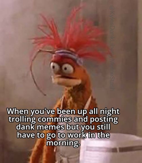 Go8JL7KWwAACCDd.jpeg