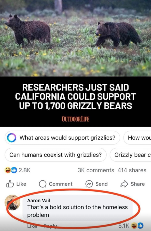 1745194290656.png