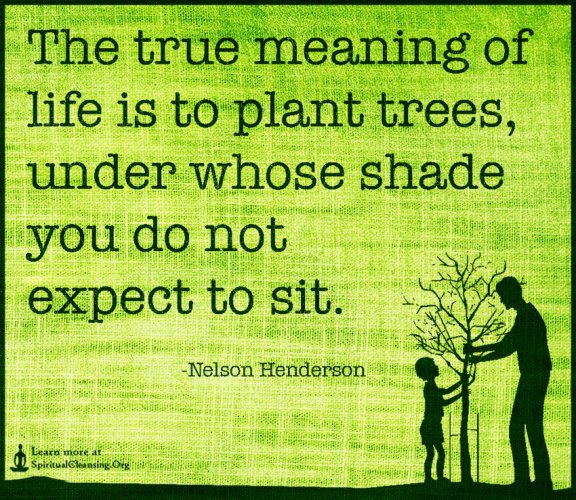 The-true-meaning-of-life-is-to-plant-trees-under-whose-shade-you-do-not-expect-to-sit.-2848790...jpg