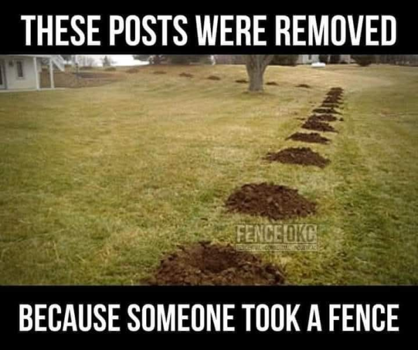 1745439268321.png
