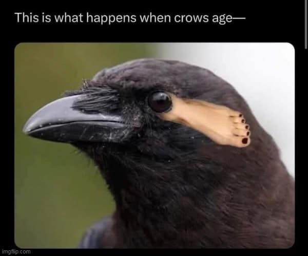 1745449351330.png