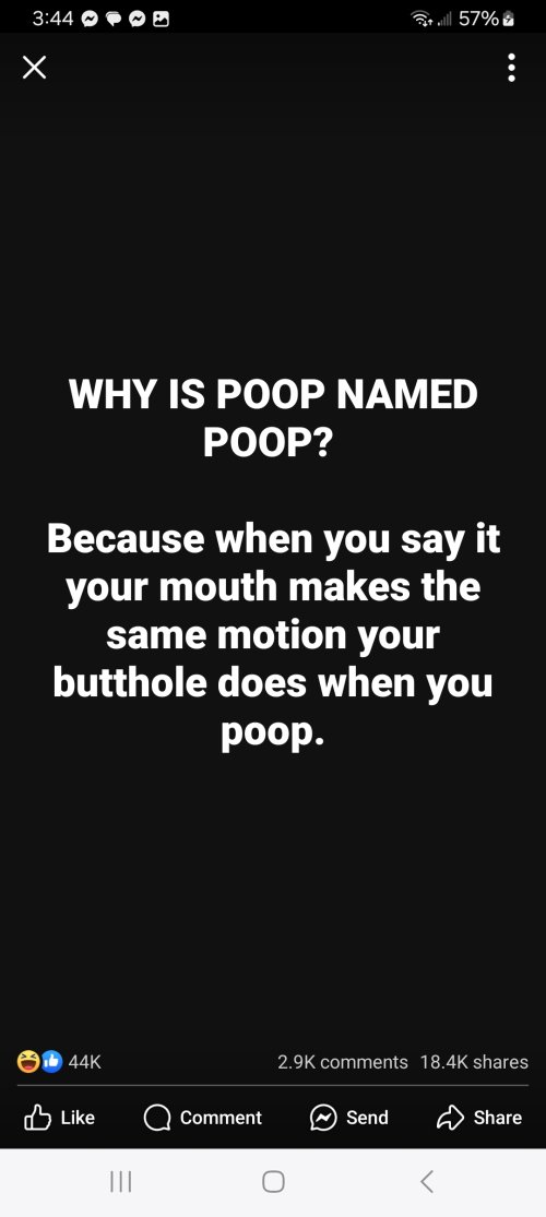 1000004786.jpg