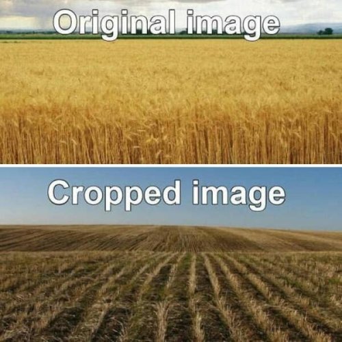 GpPBK6PXoAAhz3W.jpeg