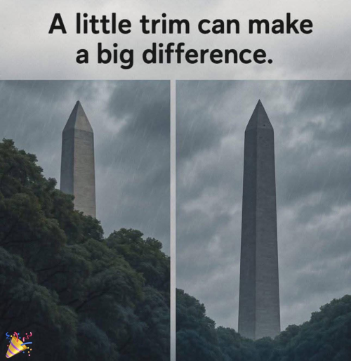 1745529463331.png