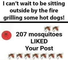 cgjfddjy.jpg