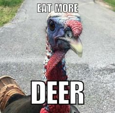 1745670947243.png