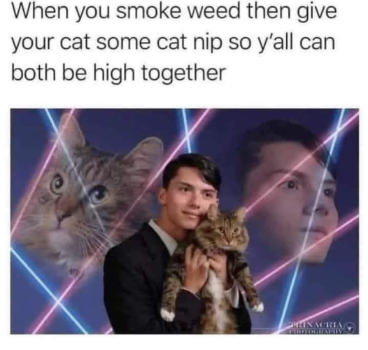 1745671322597.png