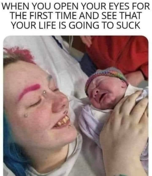 1745671421663.png