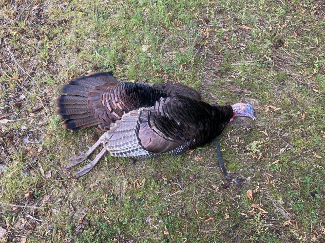 IMG_3803.jpeg IMG_3803.jpeg