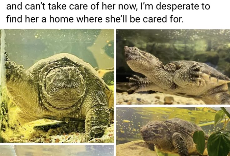 46A3A773-4C8E-405E-888F-A7F8B90EED3D.jpeg