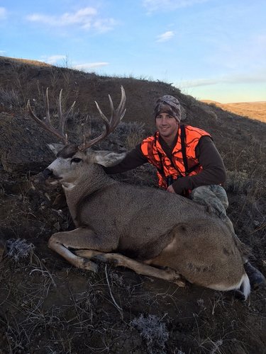 2015 Baldry Muley 2.jpg