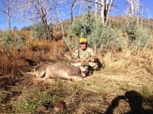 deer picture 6 of 7.jpg