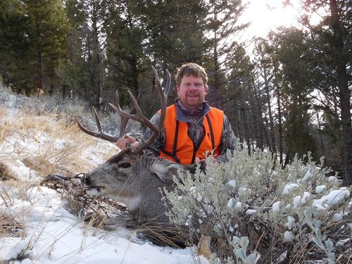 Joel buck 2015 smaller.jpg