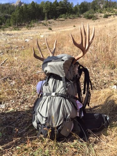 ty4.jpg ty4.jpg