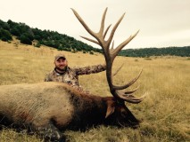 elk.png elk.png