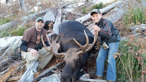 Moose 2.jpg Moose 2.jpg