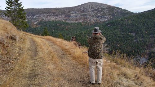 moose 5.jpg moose 5.jpg