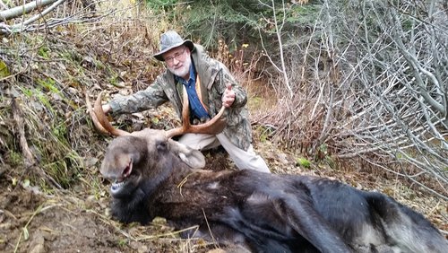 moose 9.jpg moose 9.jpg