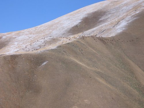 IMG_0901.JPG IMG_0901.JPG