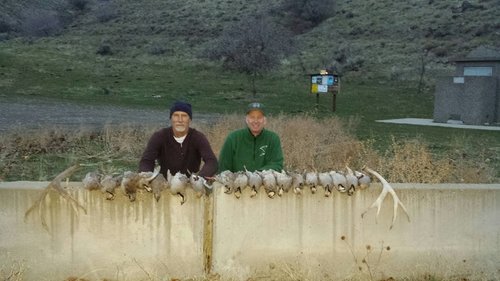 Rudy and birds 2015.jpg Rudy and birds 2015.jpg