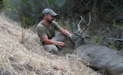 A Zone Deer 1 (Small).jpg