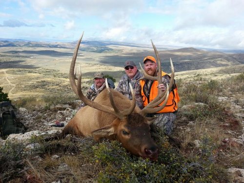 2015elk12.jpeg