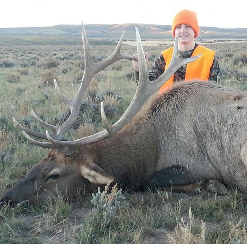 2015elk13 - Copy.jpeg