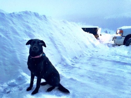 SNOW.jpg
